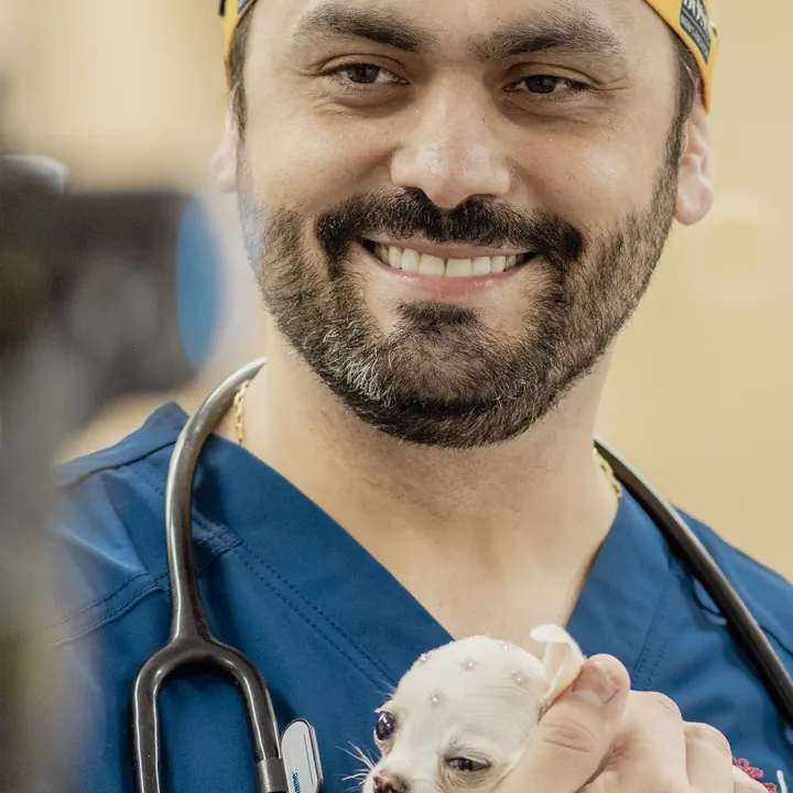 Veterinário segurando um filhote no colo